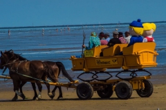 wagen-fahrt-zur-insel-neuwerk